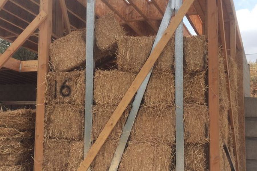 Straw-4.jpg