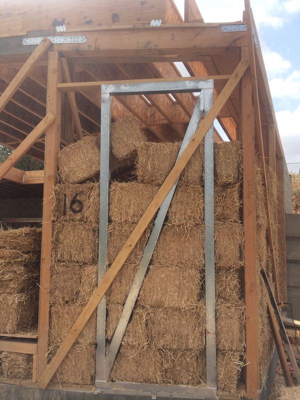Straw-4.jpg